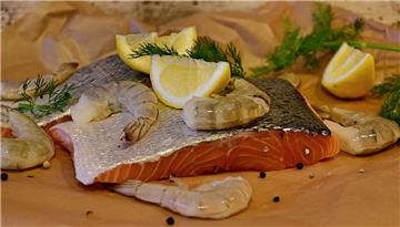 Frischer Fisch gegen Jodmangel