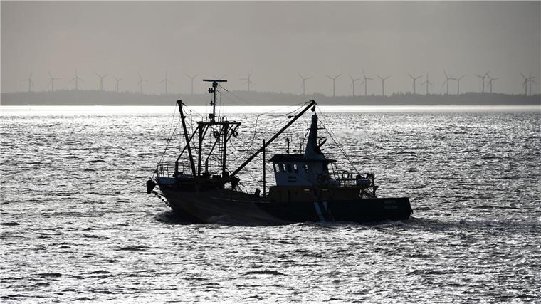 Forscher fordern Neudefinition nachhaltiger Fischerei Eine Gruppe von 30 Ozeanforscherinnen und -forschern fordert eine Neudefinition nachhaltiger Fischerei.