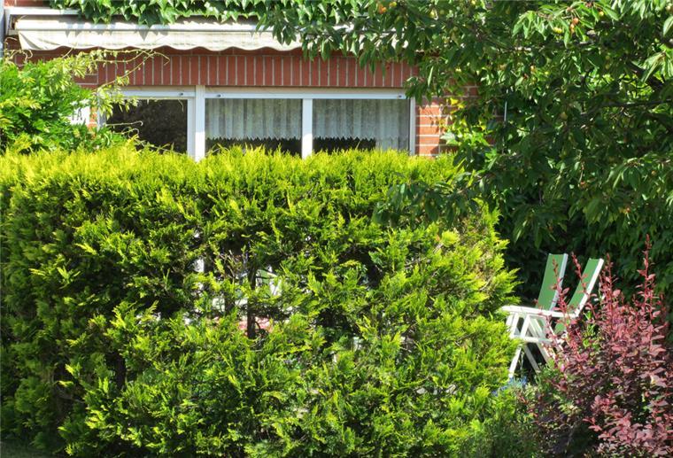 So schützen Hecken andere Pflanzen an trockenen Sommertagen Eine Hecke bietet Schutz in mehrfacher Hinsicht: Sie ist Sichtschutz, aber auch eine Windbarriere, die Pflanzen im Garteninneren hilft.