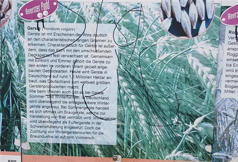 Eine Hinterlassenschaft, die Wulf Quassowsky schockiert: Auf dieser Informationstafel seines „Beerster Padd“ stand „Sieg Heil“ zu lesen.