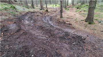 Eine illegal angelegte Spur zum Mountainbikefahren.