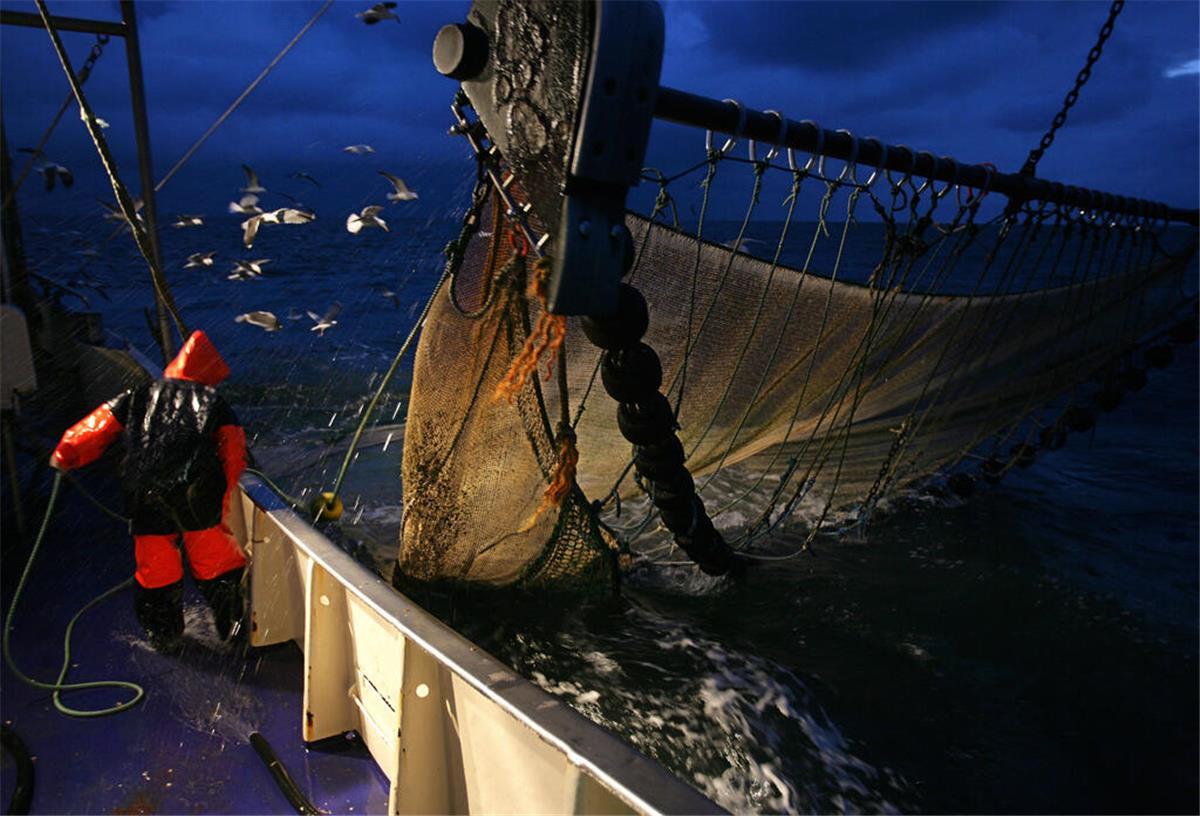 Sensationsfund in der Nordsee! Seltener Fisch nach 45 Jahren gesichtet Ein Mann, der an Bord eines Fischkutters steht und ein Fangnetz zurück ins Boot holt.