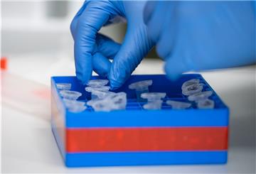Eine Laborantin sortiert im Institut für Virologie an der Charité Proben. Dort wurden nun auch Proben aus Bremervörde untersucht. 