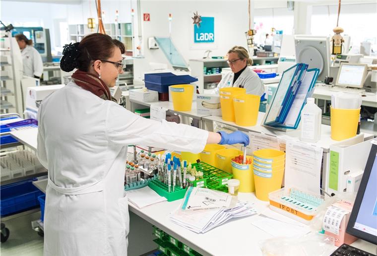 Liveticker Coronavirus (28. März): Kanzleramtschef: Keine Lockerung der Maßnahmen bis 20. April Eine Mitarbeiterin des Zentrallabors des LADR-Laborverbundes in Geesthacht untersucht einen Abstrich eines molekularbiologischen Tests auf das Coronavirus.