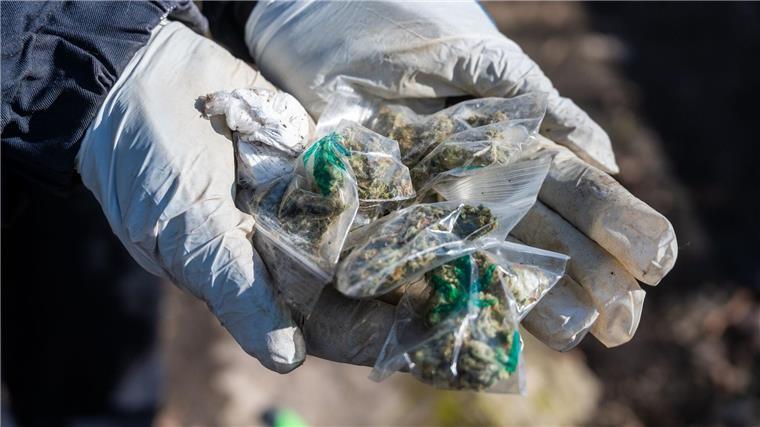 Eine Polizistin hält kleine Tütchen mit Marihuana in den Händen.