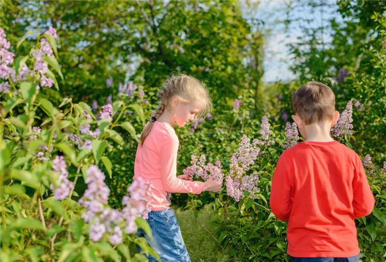 Garten, kindersicher, ungiftige Pflanzen