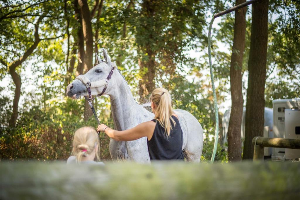 Eine Reiterin duscht ihr Pferd an der Pferdeusche zur Abkühlung. Elmloher Reiter...