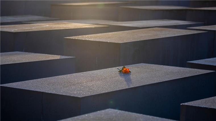 Eine Rose liegt anlässlich des Internationalen Tags des Gedenkens an die Opfer des Holocaust auf einer Stele des Denkmals für die ermordeten Juden Europas.