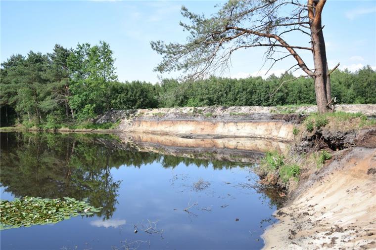 Eine rund 30 Meter lange Steilwand am Baggersee bei Rhade bietet genug Platz, damit sich Uferschwalben eine Bruthöhle graben können.