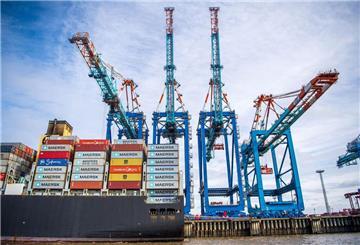 Eine Spezialfirma soll noch diese Woche damit beginnen, die giftigen Spinnen an Bord der „Arc Commitment“ in Bremerhaven zu entfernen.