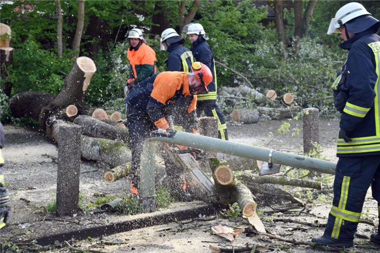 Eine Sturmböe hat einen Baum auf die Straße "Am Stadion" stürzen lassen. 