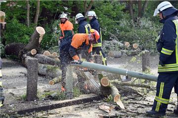 Eine Sturmböe hat einen Baum auf die Straße "Am Stadion" stürzen lassen. 