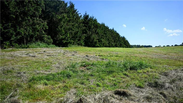 Landwirt nach Fund von Kinderleiche fassungslos Eine teilweise abgemähte Wiese am Fundeort einer Kinderleiche im Landkreis Stade.