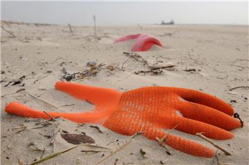Einem Zustandsbericht zufolge ist die Nordsee weiterhin mit Plastikmüll belastet.