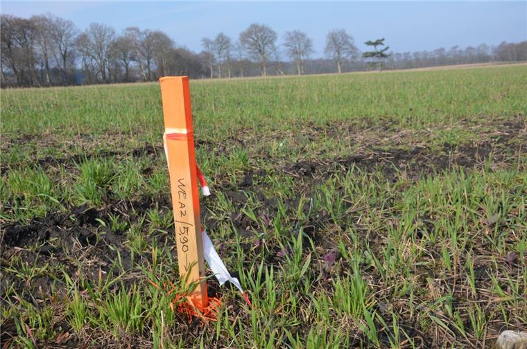 Bad Bederkesa: Heute gibt's neue Infos zum geplanten Windpark Einer der Pflöcke, die auf den Wiesen zwischen Bad Bederkesa und Kührstedt die Standorte der 13 Anlagen im geplanten Windpark anzeigen.