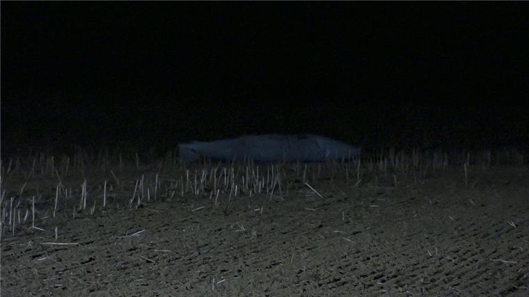 Schleswig-Holstein: Tornado der Luftwaffe verliert Zusatztanks Einer von zwei Zusatztanks eines Tornado-Jets der Luftwaffe liegt auf einem Feld im Kreis Ostholstein. Am Abend hatte ihn eine Spaziergängerin entdeckt. Der Tornado-Jet hat in Schleswig-Holstein zwei leere Tanks verloren.