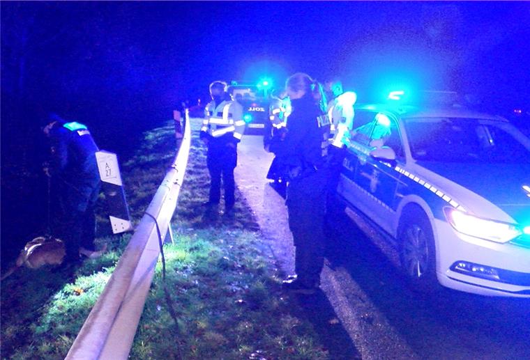 Unfall auf A 27: Autofahrer rast durch Seitenplanken - und verschwindet Ein Polizeiauto in Bremerhaven.