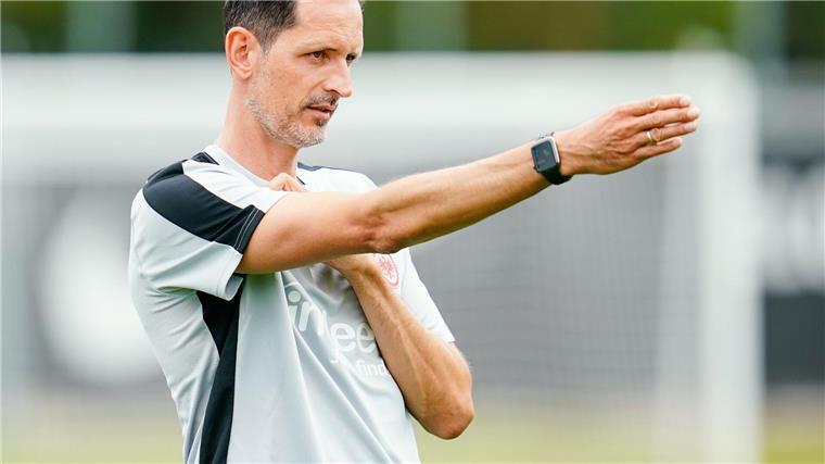 Eintracht Frankfurts Trainer Dino Toppmöller hofft auf einen guten Start in die Europa League.