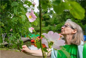Elisabeth Quentin kennt sich im Bürgerpark sehr gut aus.