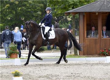 Emma Kanerva und Mist of Titanium in der Dressur L. Foto: Scheschonka