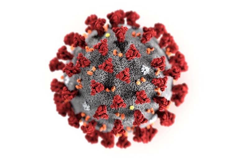 Ein Virus