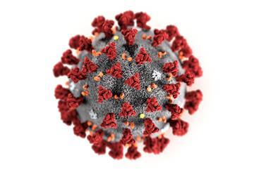 Ein Virus