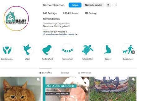Instagram