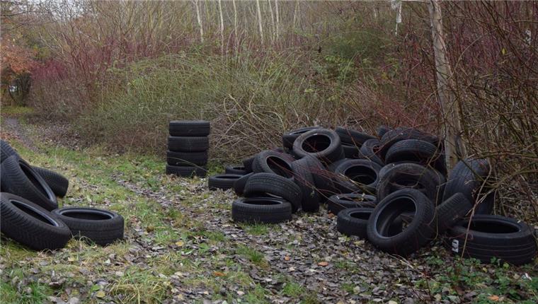 Wilde Müllkippe: 120 Autoreifen illegal entsorgt Entlang eines Trampelpfades zwischen Weißenstein und dem F.-W.-Sander-Weg haben Unbekannte in Grünhöfe mehr als 100 Autoreifen abgeladen. Ein paar Meter weiter lagert ein weiterer illegaler Reifenberg am Straßenrand.