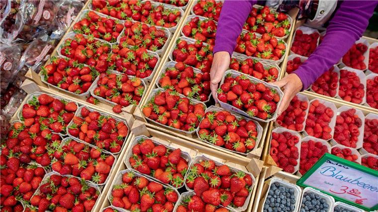 Erdbeeren vom Wochenmarkt sind beliebt - diese Saison fiel die Ernte jedoch schlechter aus als in der letzten. (Archivfoto)