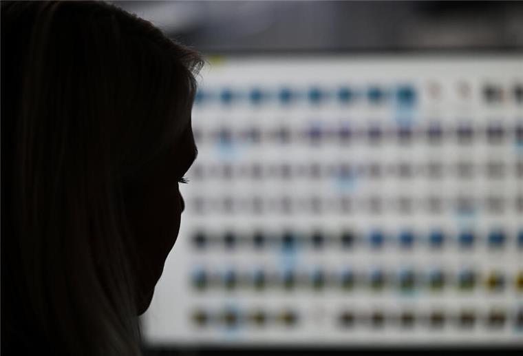 Schlag gegen Pädophilen-Netzwerk: Plattform „Kidflix“ vom Netz genommen Eine Frau sitzt vor einem Bildschirm