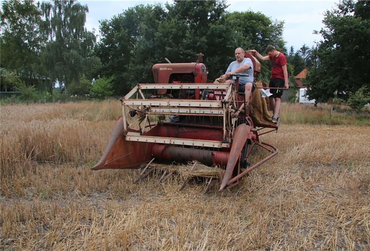 Nach 70 Jahren noch voll einsatzfähig Ernte mit historischen Maschinen: Uwe Janssen von den Oldtimerfünn Klein Meckelsen fährt den alten Fahr-Mähdrescher vom Typ MDL. Mit an Bord ist Marvin Rievesehl. Was dem alten Mähdrescher fehlt, ist ein Korntank.