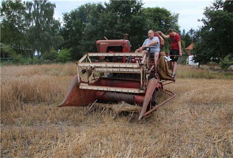 Ernte mit historischen Maschinen: Uwe Janssen von den Oldtimerfünn Klein Meckelsen fährt den alten Fahr-Mähdrescher vom Typ MDL. Mit an Bord ist Marvin Rievesehl. Was dem alten Mähdrescher fehlt, ist ein Korntank.