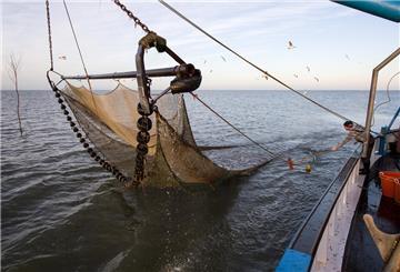 Ein Krabbenfischer bereitet auf seinem Kutter in der Nordsee vor Dorum-Neufeld das an Bord nehmen des Fangs aus dem gehievten Schleppnetz vor.