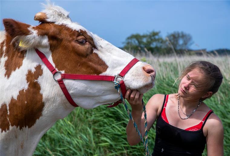 Auszubildende zur Tierwirtin mit einer Kuh