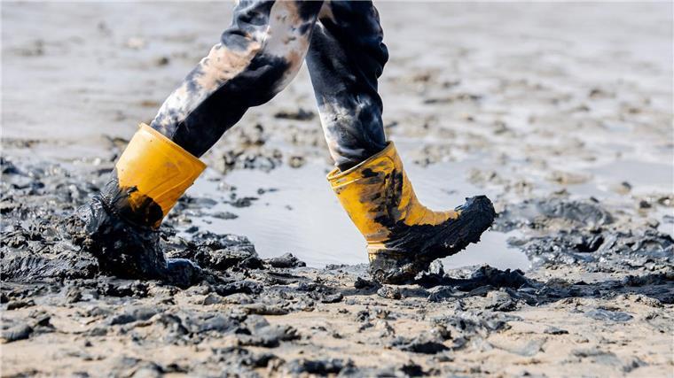 Sonne strahlt zum Auftakt des Watt en Schlick Festivals Es ist das Musikfestival am Wattenmeer: Zum „Watt en Schlick Festival“ in Dangast (Landkreis Friesland) werden täglich rund 6.500 Gäste erwartet.