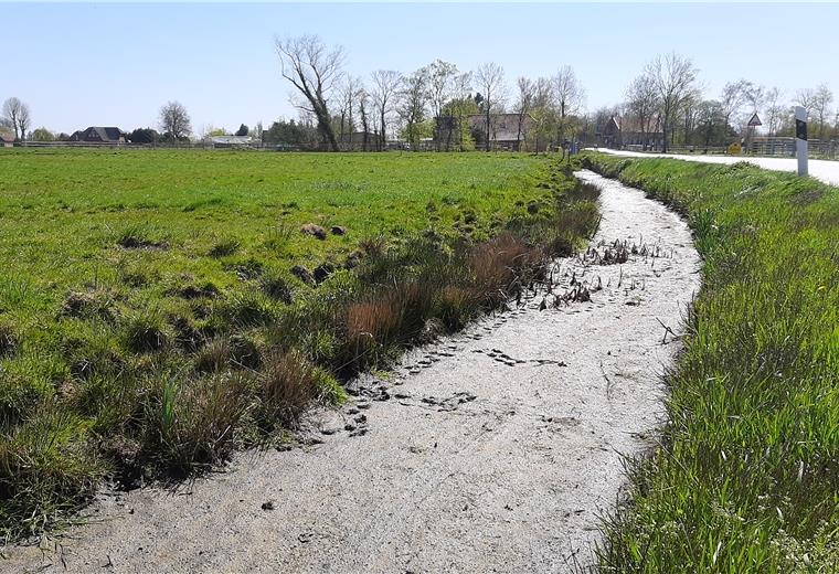 Ab Montag wird zugewässert Es ist kein Wasser mehr zu sehen: Der Graben entlang der Straße in Seefelder Außendeich hat sich in Schlammfeld verwandelt.