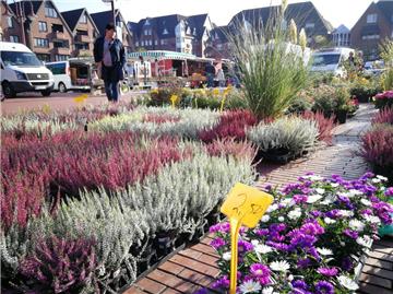 Es sei „zu 100 Prozent sicher“, dass die Wochenmarkt-Stände ab Freitag wieder wie gewohnt auf dem Marktplatz stehen werden, sagt die Marktmeisterin.