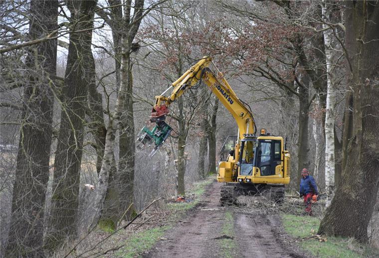 Das Foto zeigt den Bagger in Aktion. 