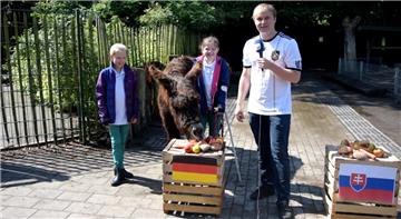 Esel-Orakel Clyde ist sich sicher: Deutschland wird das Achtelfinale gegen die Slowakei gewinnen.