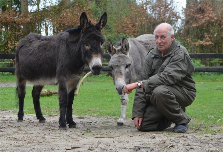 Zwei Esel und ein Mann