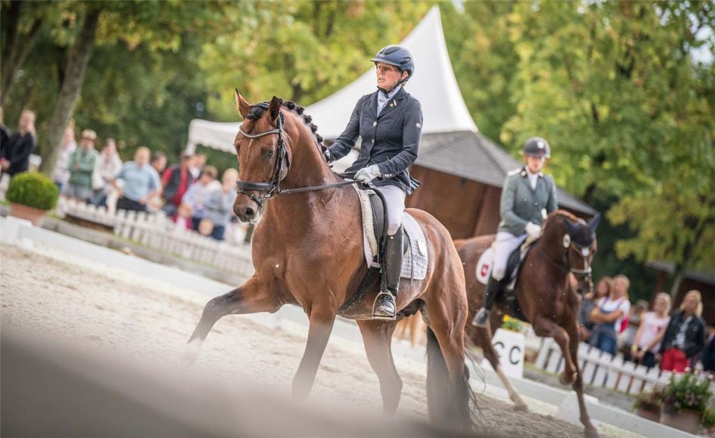 Esther Maruhn auf Pferd Franco Nero gewann Bronze bei der Reitpferdeprüfung für ...
