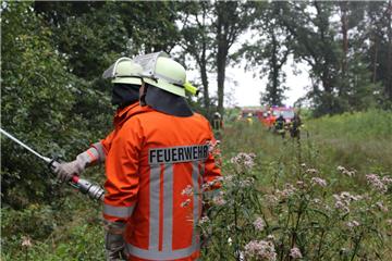 Etwa 300 Meter weit müssen die Hagener Feuerwehrleute im Wald das Wasser transportieren.
