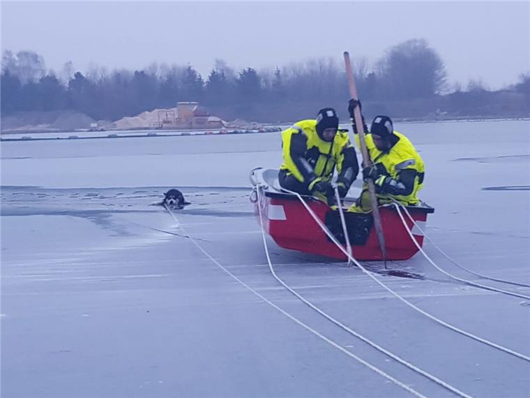 Rettung in Loxstedt: Hund bricht in eiskaltes Wasser ein Etwa eine halbe Stunde musste der Hund im eiskalten Wasser ausharren.