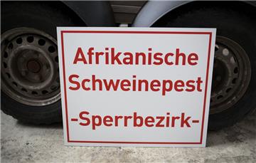 Fälle von Schweinepest in Polen machen den Landwirten in Niedersachsen Sorgen.