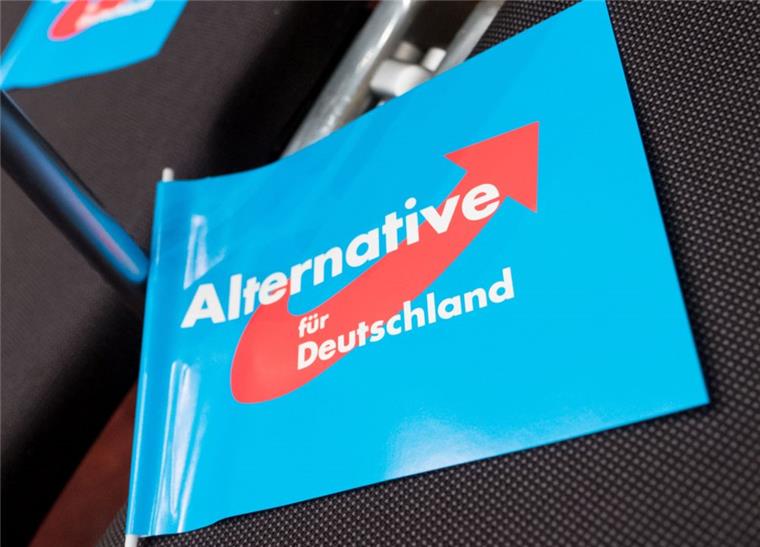 Fahnen der Partei Alternative für Deutschland (AfD) liegen vor Beginn der Wahlkampfveranstaltung der AfD in den Sitzreihen.  