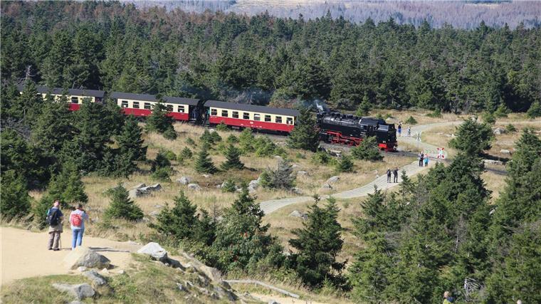 Harz: Höheres Bußgeld bei Verstoß gegen Rauchverbot in Bahn Fahrgäste der Harzer Schmalspurbahnen müssen demnächst 250 Euro zahlen, wenn sie gegen das Rauchverbot in den Zügen verstoßen. (Archivbild)