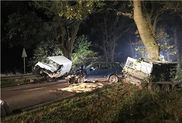 Fahrzeuge im Baum und auf der Leitplanke: Der Unfall auf der L128 zwischen Ringstedt und Hainmühlen verursachte einen Schaden zwischen 40.000 und 50.000 Euro.