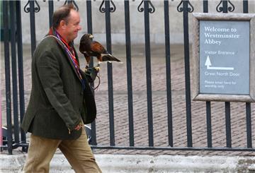 Falkner Wayne Davis bringt Wüstenbussard Rufus zum Staatsakt vor der Beisetzung von Königin Elizabeth II. zur Westminster Abbey.