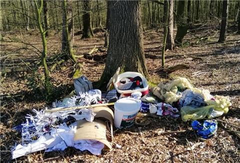 Farbeimer und mehr: Am Waldrand bei Ober Ochtenhausen haben Umweltsünder rund einen Kubikmeter Müll entsorgt. 