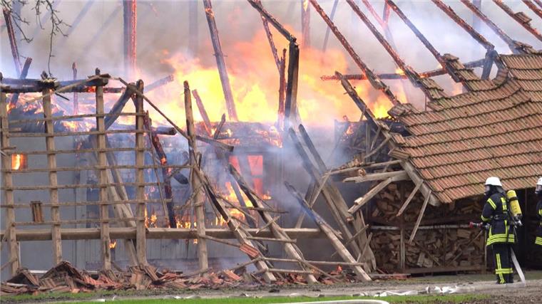 Fast 700 Schweine (Symbolfoto) sind bei einem Brand in Harpstedt (Kreis Oldenburg) ums Leben gekommen.